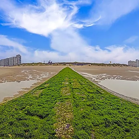 Beautiful With Phenomenal Sea View 미들케르케